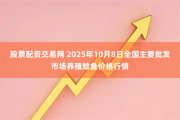 股票配资交易网 2025年10月8日全国主要批发市场养殖鲶鱼价格行情