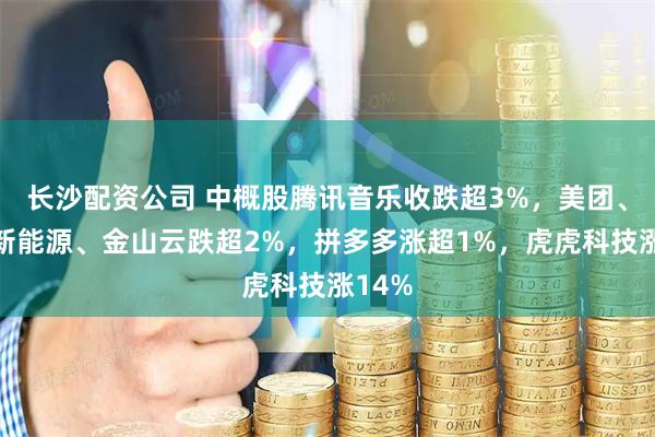 长沙配资公司 中概股腾讯音乐收跌超3%，美团、大全新能源、金山云跌超2%，拼多多涨超1%，虎虎科技涨14%